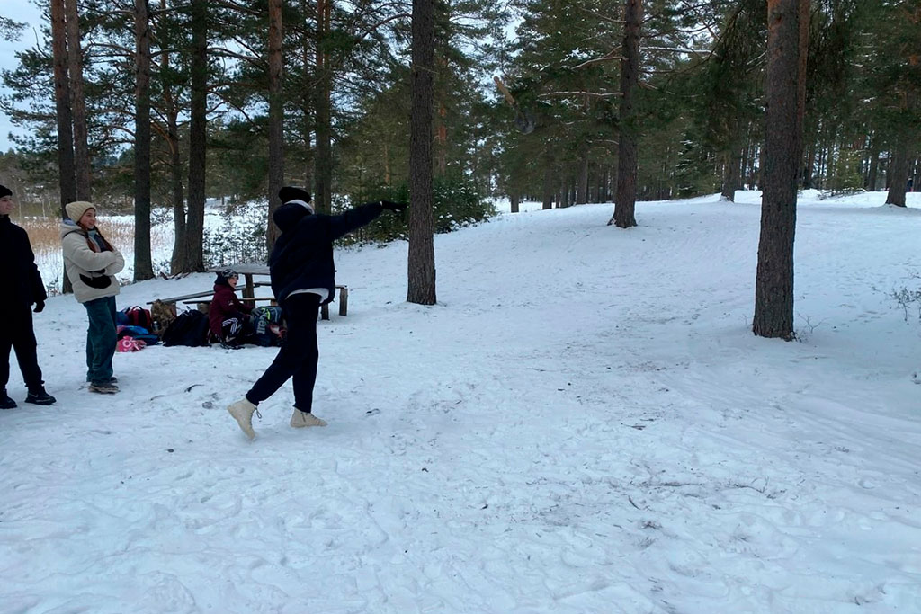 Снежный десант