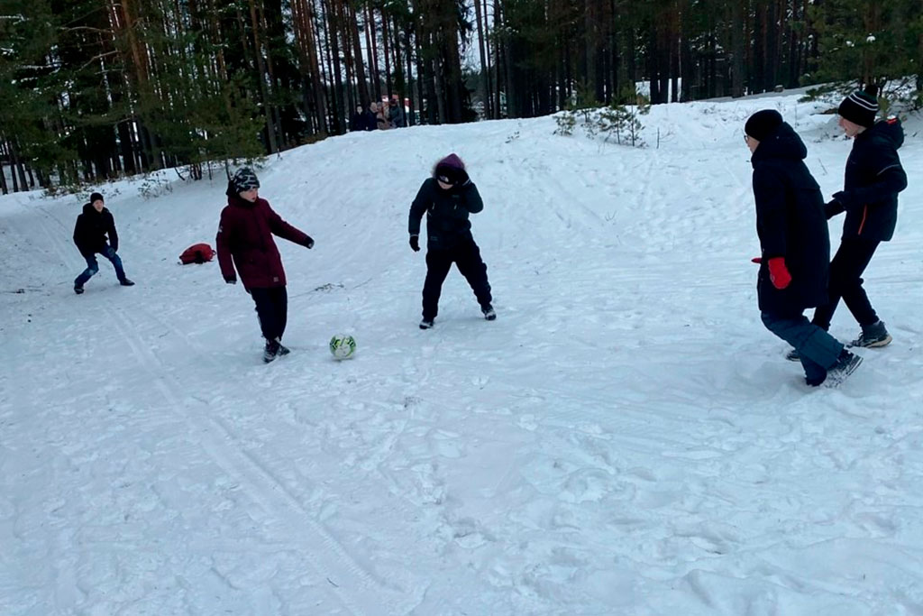 Снежный десант