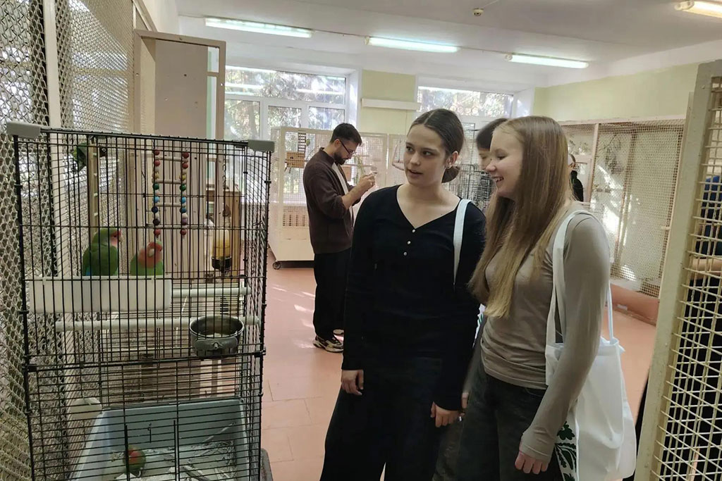 Лесу — быть!